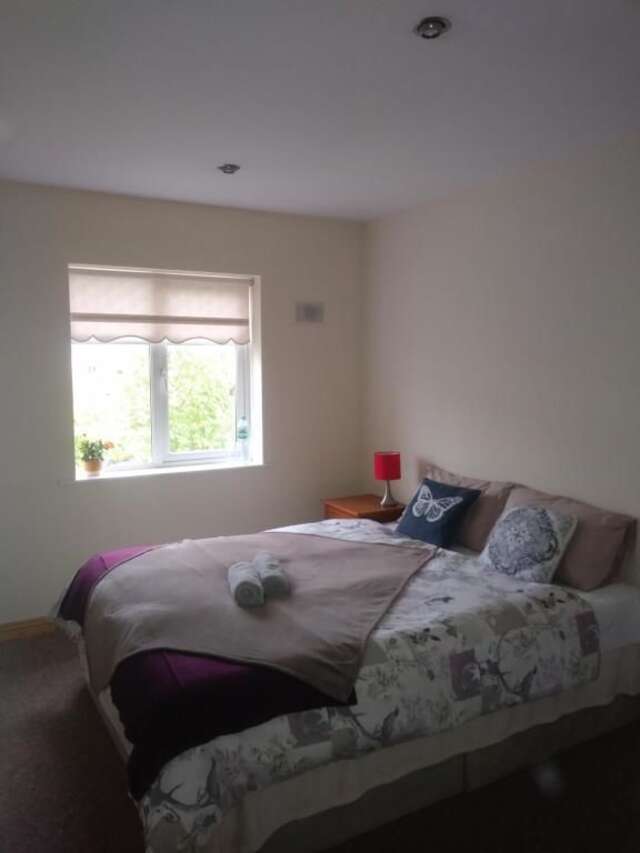 Проживание в семье Happy guest Дублин-18